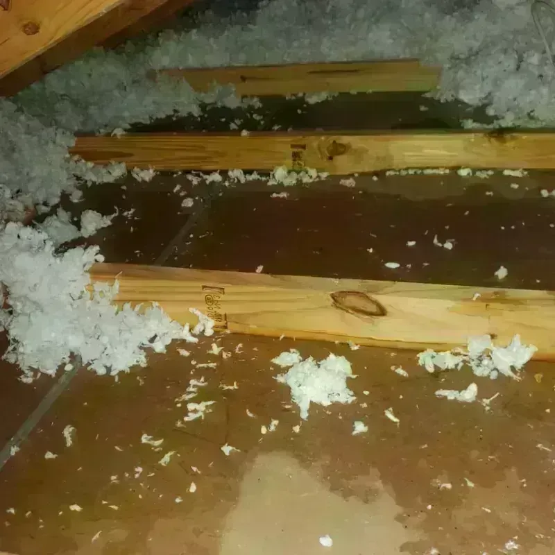 Attic Water Damage in Milton, VT